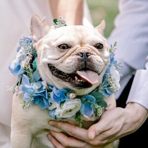 Custom wedding floral dog collar with pearl leash.